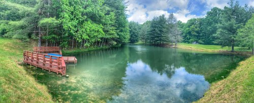 A serene pond surrounded by lush greenery, featuring a wooden dock on one side under a partly cloudy sky.