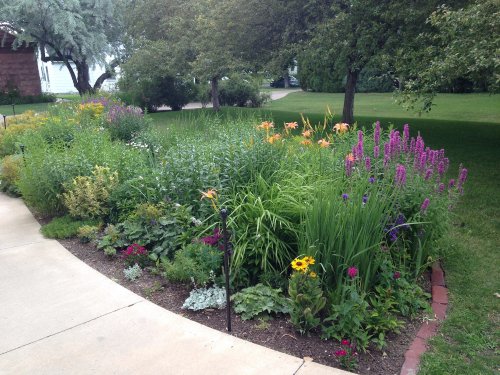 A vibrant garden filled with colorful flowers and lush greenery, bordered by a curved pathway.