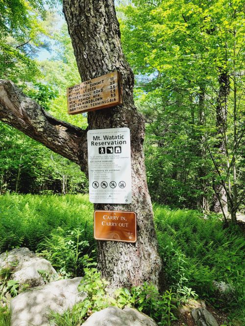 A tree with signs for Mt. Watatic Reservation, including trail distances and a "Carry In, Carry Out" message.