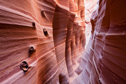A narrow canyon with smooth, layered sandstone walls and circular rock formations, illuminated by soft natural light.