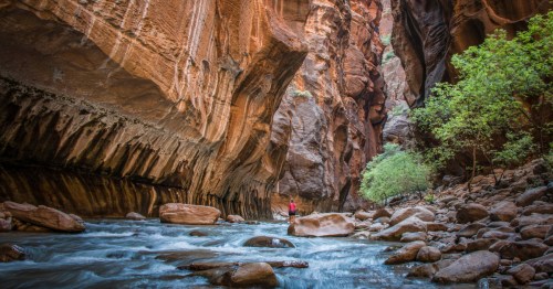 a hiker stands on a rock in the narrows at zion national park in utah
