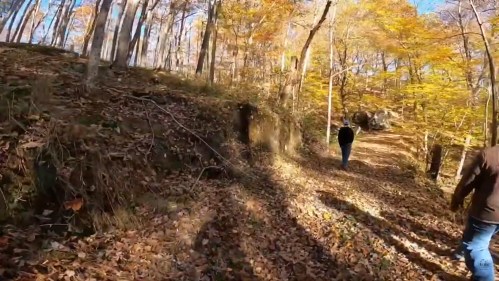 Two people walking on a wooded trail covered with autumn leaves, surrounded by colorful trees.