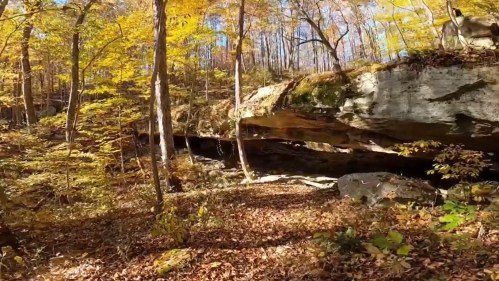 A scenic view of a rocky overhang surrounded by autumn trees and fallen leaves in a forested area.