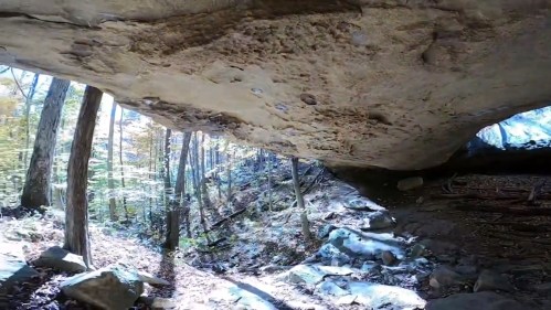 A rocky overhang in a forest, with sunlight filtering through trees and illuminating the ground below.