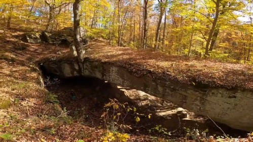 A rocky ledge surrounded by colorful autumn foliage in a forest setting.