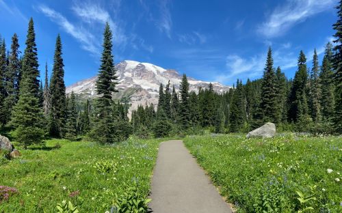 A scenic path through lush greenery leads to a snow-capped mountain under a clear blue sky.