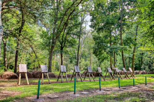 A row of wooden easels in a lush green forest, surrounded by trees and natural scenery.