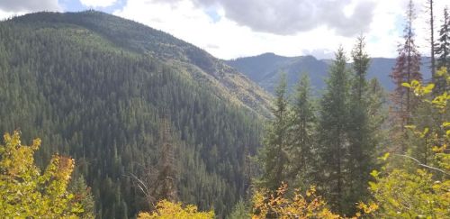 A scenic view of lush green mountains and trees under a partly cloudy sky.