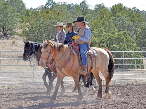 Three riders on horseback in a dusty arena, surrounded by trees and a fence, enjoying a day of riding.