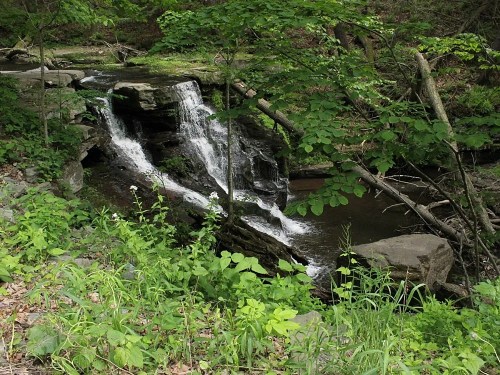 A serene waterfall cascades over rocks, surrounded by lush green foliage and a peaceful stream.