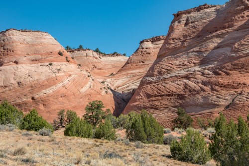 Red and beige rock formations rise against a clear blue sky, with green shrubs in the foreground.