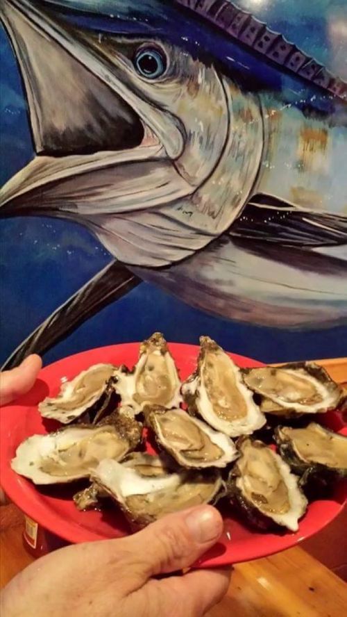 A person holds a red plate with several oysters, with a large fish mural in the background.