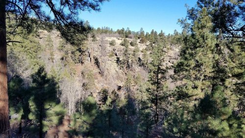 A scenic view of a rocky landscape surrounded by tall pine trees under a clear blue sky.