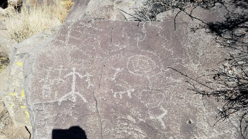 Petroglyphs etched into a rocky surface, featuring various abstract symbols and figures amidst sparse vegetation.