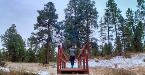 A person stands on a wooden bridge surrounded by tall pine trees and a snowy landscape.