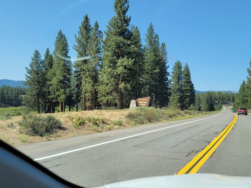 Sign for "Lassen National Forest" beside a highway, surrounded by tall pine trees and clear blue skies.
