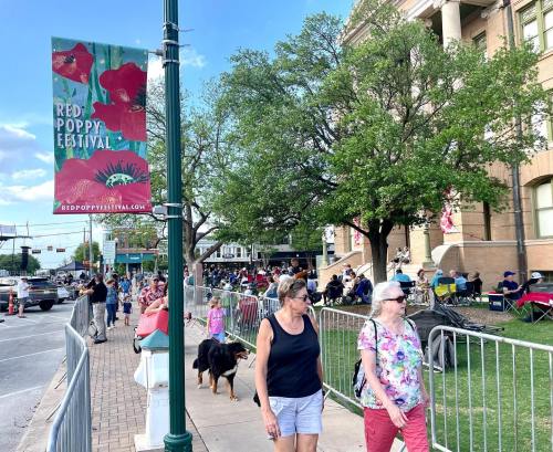 A street scene at the Red Poppy Festival, with people walking, sitting, and enjoying the festivities near a banner.
