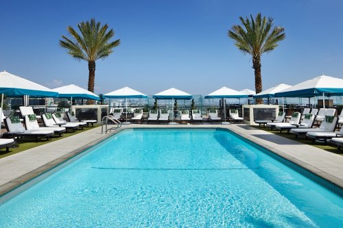 A luxurious pool area with lounge chairs, umbrellas, and palm trees under a clear blue sky.