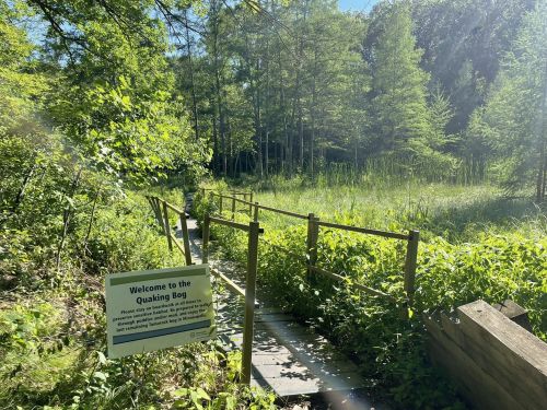 A wooden walkway leads through lush greenery to a sign that reads "Welcome to the Quaking Bog."