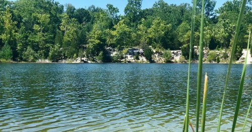 A serene lake surrounded by lush green trees and rocky cliffs under a clear blue sky.