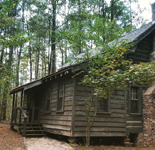 A rustic wooden cabin surrounded by trees, featuring a porch and multiple windows.