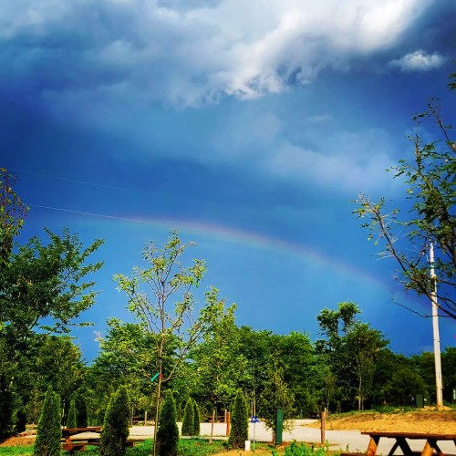 A rainbow arcs across a dark, cloudy sky above green trees and a park area.