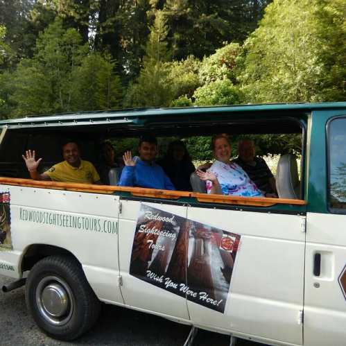 A group of people waving from a tour van surrounded by lush greenery.