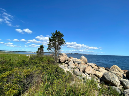 A coastal scene featuring rocks, greenery, and a clear blue sky with scattered clouds over the water.