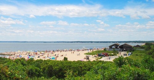 A sunny beach scene with people relaxing on the sand, surrounded by greenery and a calm sea under a blue sky.