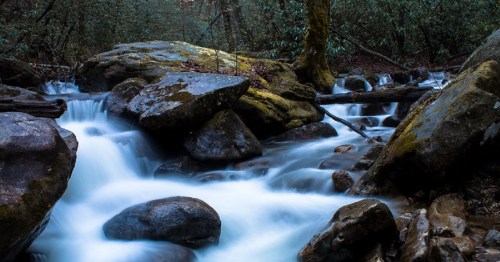 A serene stream flows over smooth rocks, surrounded by lush greenery in a tranquil forest setting.
