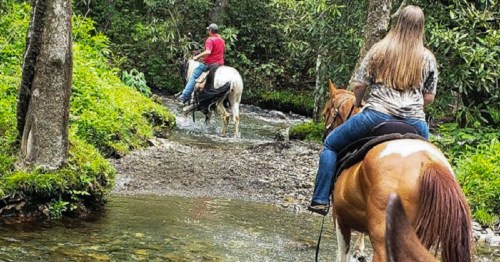 Two riders on horseback crossing a stream in a lush, green forest.