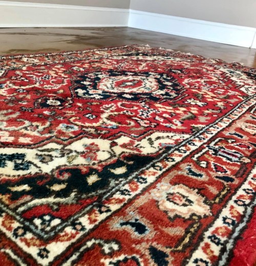 A close-up of a colorful Persian rug with intricate patterns in red, blue, and cream tones on a polished floor.