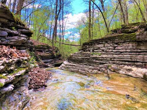 A serene creek flows between moss-covered rock formations, surrounded by lush green trees and a bright blue sky.