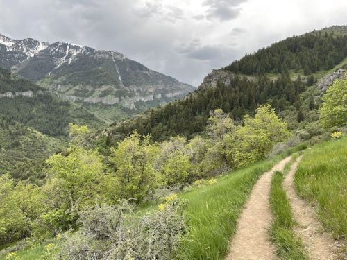 A winding dirt path through lush green hills, with mountains and cloudy skies in the background.