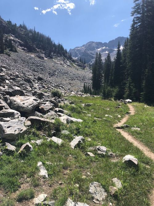 A rocky landscape with a grassy path leading through trees, mountains visible in the background under a clear blue sky.