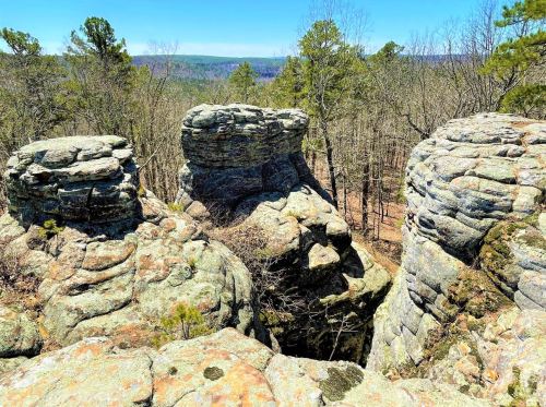 Rock formations surrounded by trees under a clear blue sky, showcasing a scenic view of the landscape.