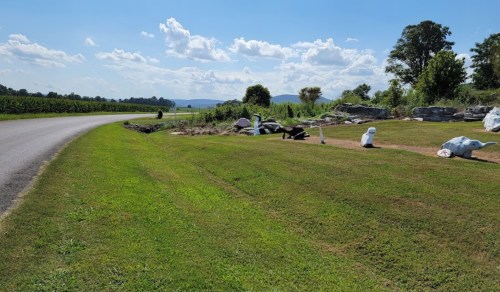 A scenic view of a grassy area beside a road, with sculptures and a vineyard in the background under a blue sky.