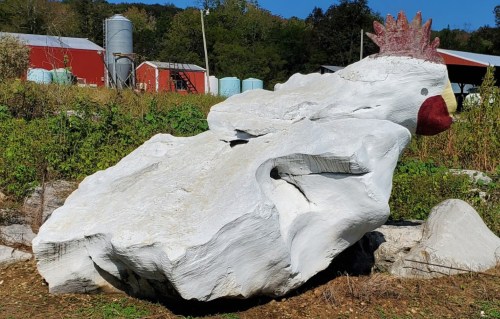A large rock painted to resemble a chicken, with a red comb and beak, set in a rural landscape with barns in the background.