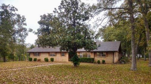 A single-story brick house surrounded by trees and fallen leaves in a grassy yard.