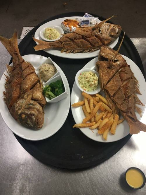 Three plates of fried fish with sides of coleslaw, broccoli, and French fries on a serving tray.