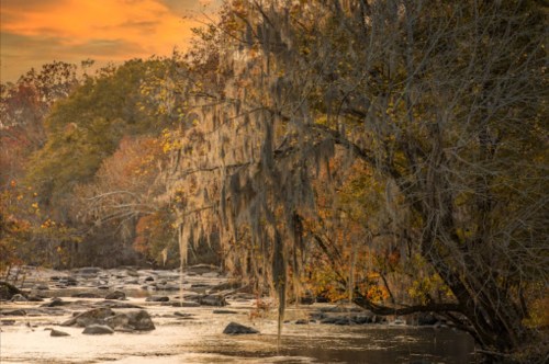 A serene river scene at sunset, with moss-covered trees and colorful autumn foliage reflecting on the water.