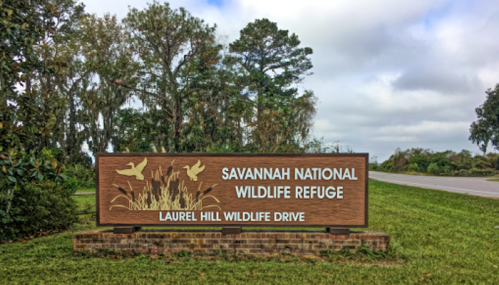 Sign for Savannah National Wildlife Refuge, featuring "Laurel Hill Wildlife Drive," surrounded by greenery and trees.