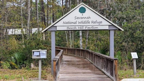 Sign for Savannah National Wildlife Refuge with a wooden walkway leading to Beech Hill Pavilion, surrounded by trees.