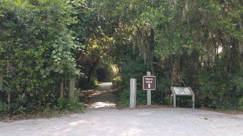 Pathway leading into a lush, green forest with a sign for "Pinto Bend" and an informational display nearby.