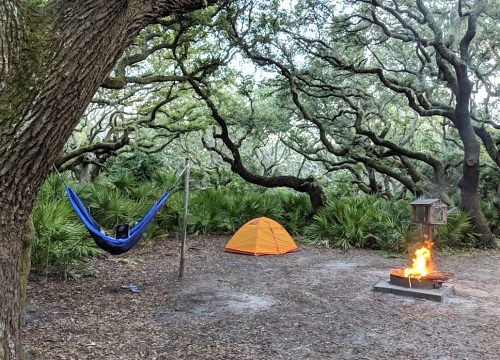 A cozy campsite with a blue hammock, orange tent, and a fire pit surrounded by lush trees and greenery.