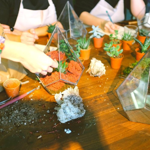 Hands working on terrariums with small plants and decorative materials on a wooden table.