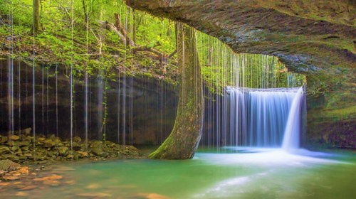 A serene waterfall cascades into a tranquil pool, surrounded by lush greenery and rocky formations.
