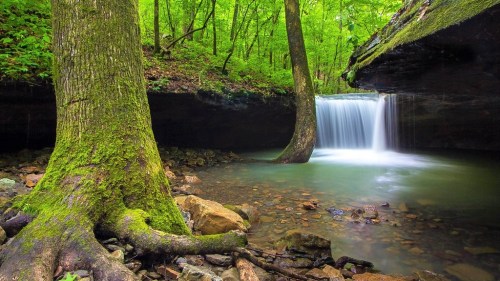 A serene waterfall cascades over rocks in a lush green forest, surrounded by moss-covered trees and tranquil water.