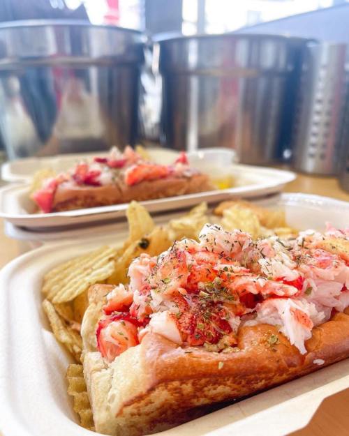 A close-up of a lobster roll topped with lobster meat and herbs, served with a side of potato chips.