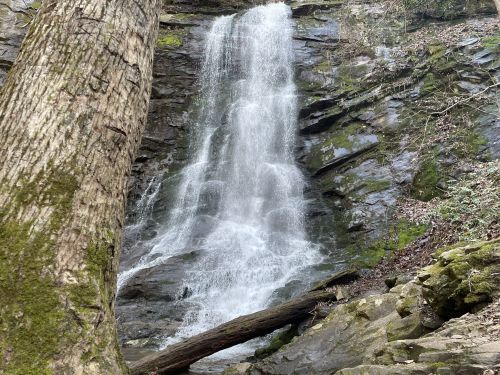 A cascading waterfall flows down rocky terrain, surrounded by moss-covered stones and trees in a serene forest setting.